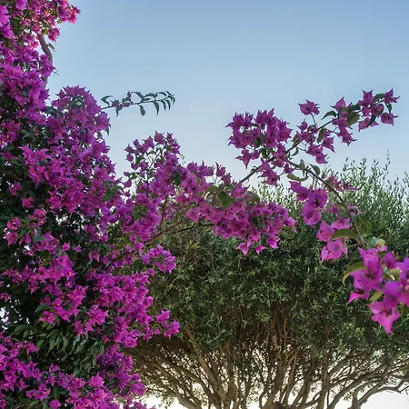 Hill Lofos 2* Kassiopi