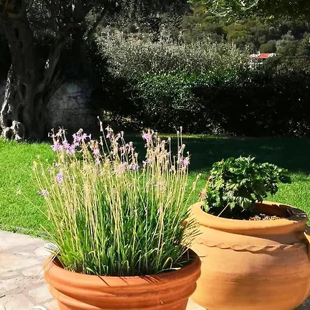 فندق Hill Lofos كاسيوبي