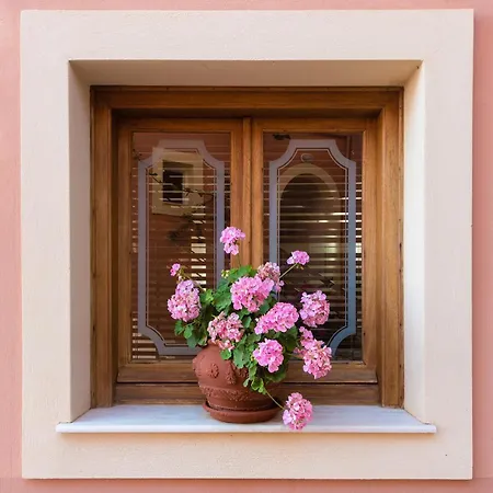 호텔 Hill Lofos 카시오피