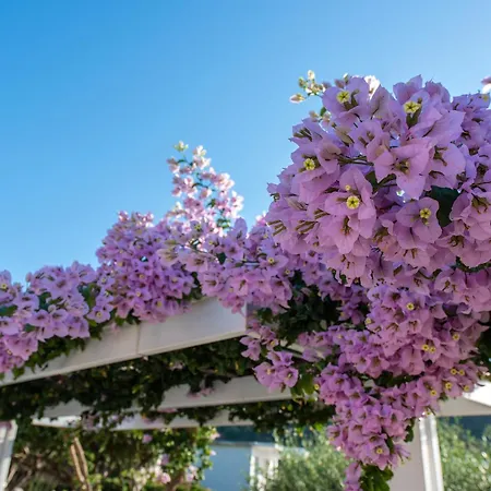 Hill Lofos 2* 카시오피