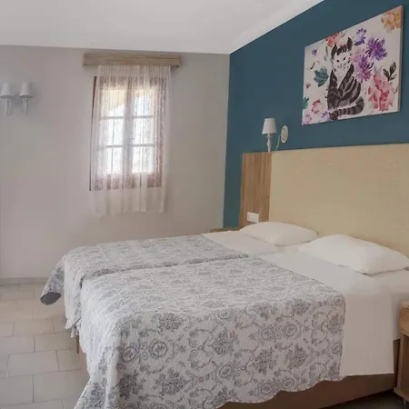 Hill Lofos 카시오피